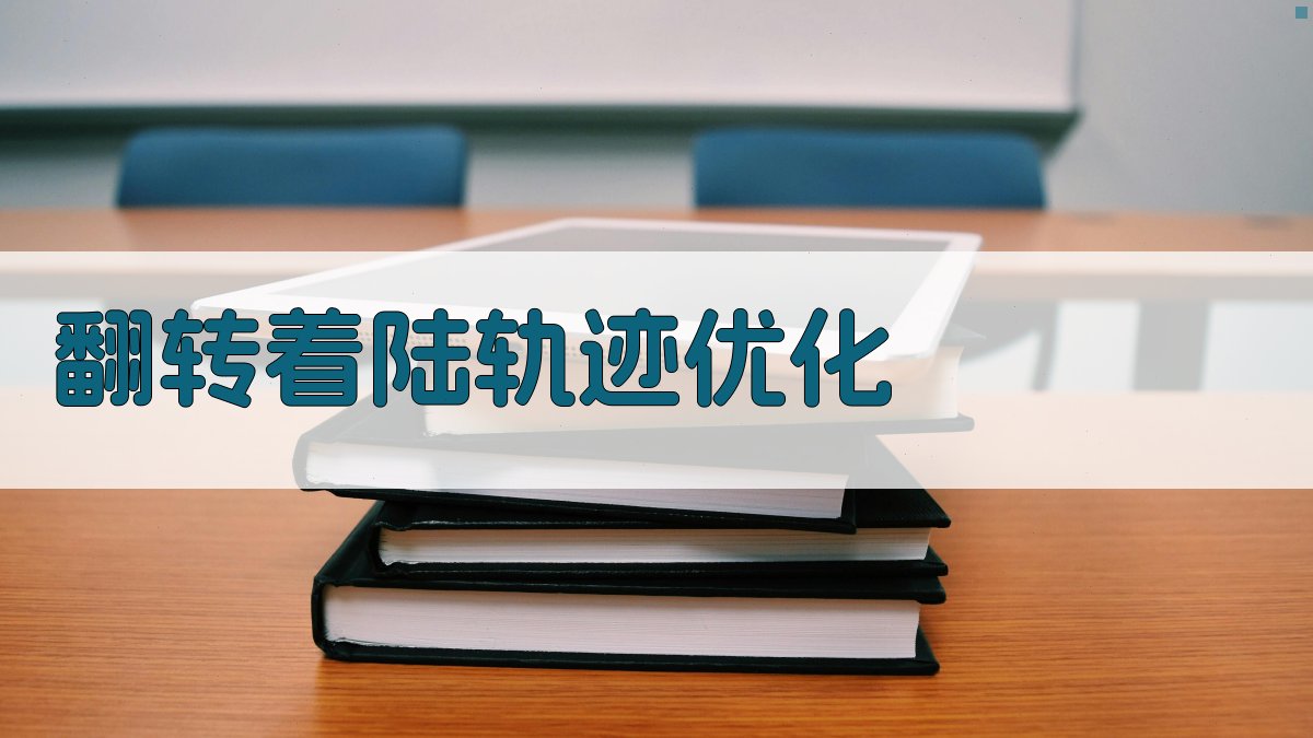 基于定制一阶求解器的翻转着陆实时轨迹优化