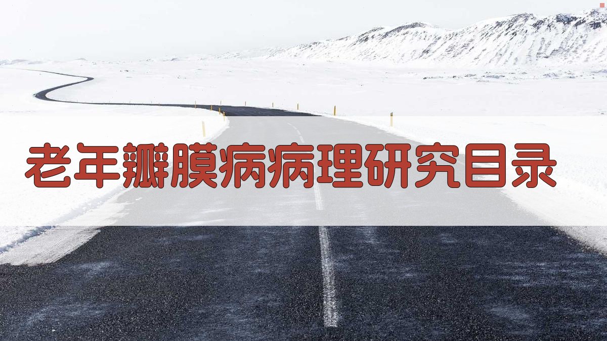 AI老年瓣膜病病理研究目录