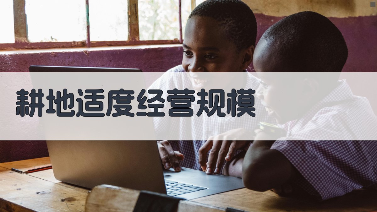 AI耕地适度经营规模研究助手