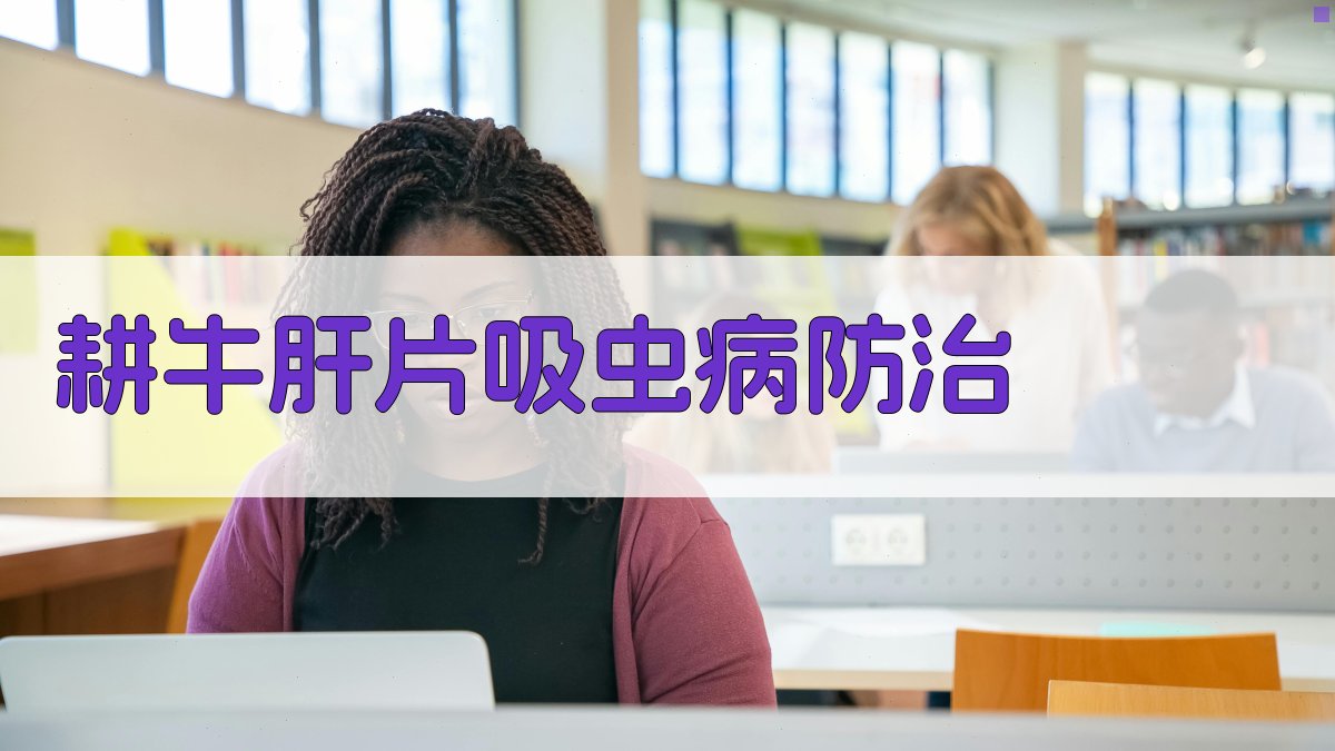 耕牛肝片吸虫病防治