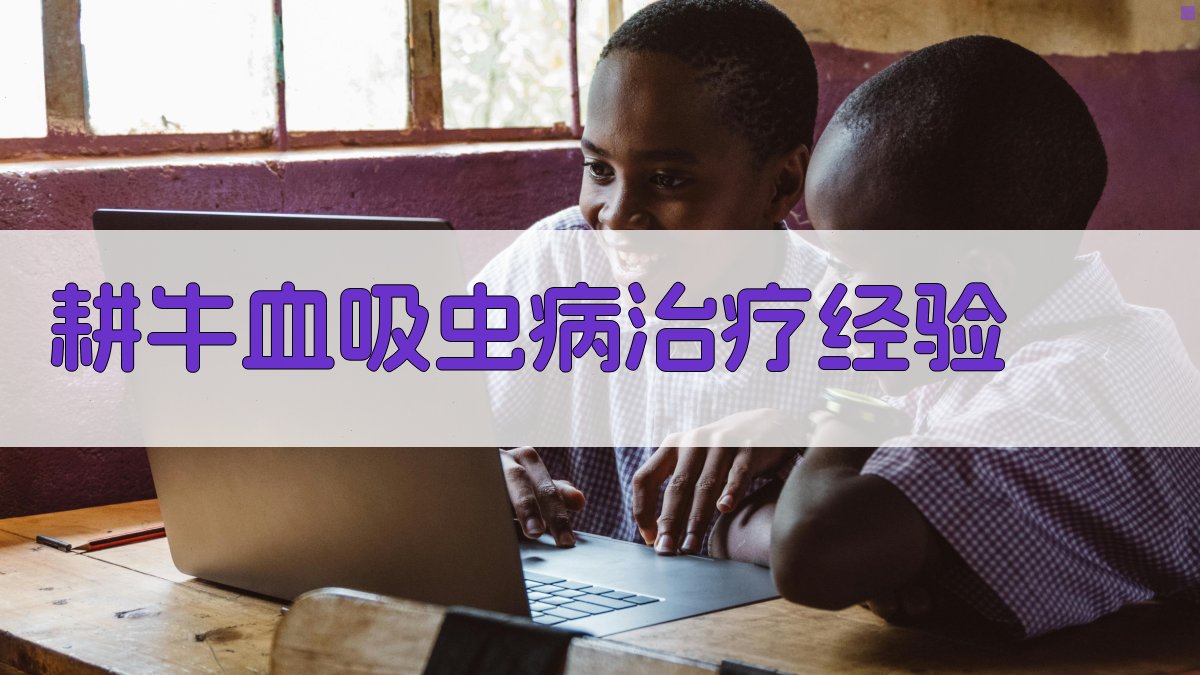 AI耕牛血吸虫病治疗经验