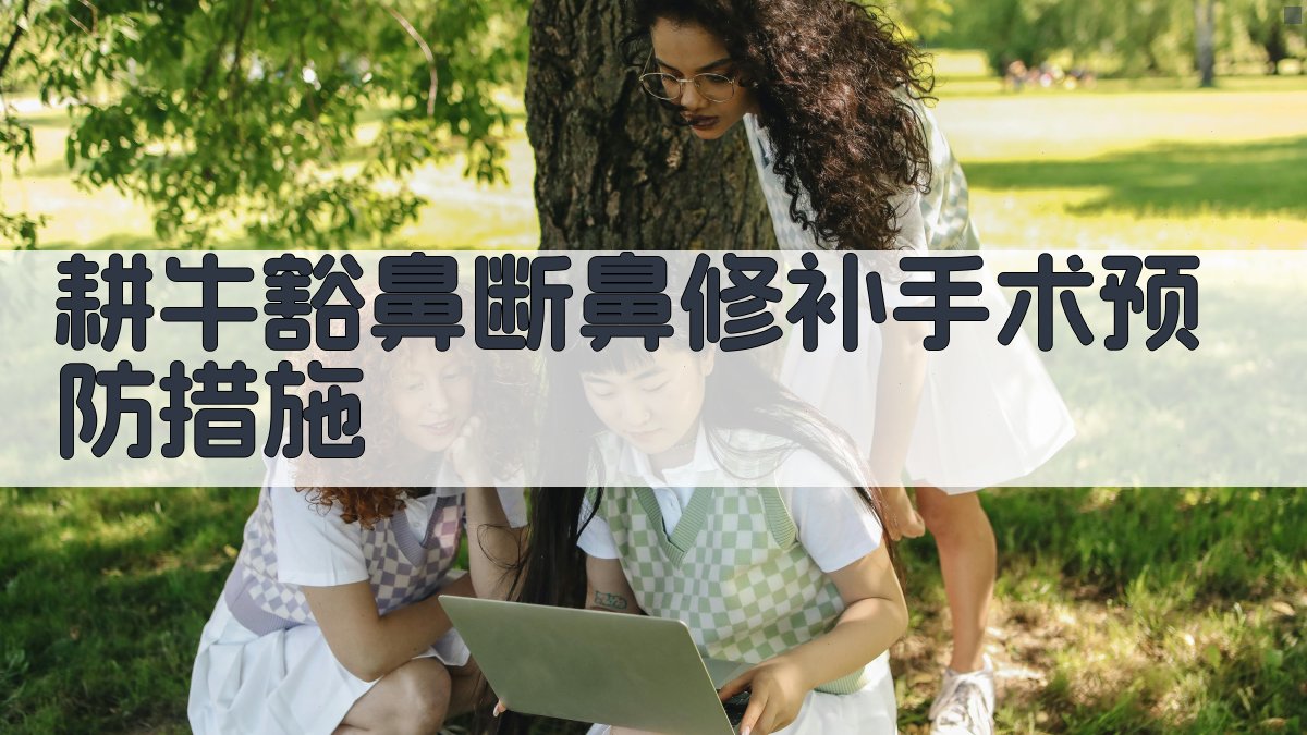 耕牛豁鼻(断鼻)修补手术及预防措施