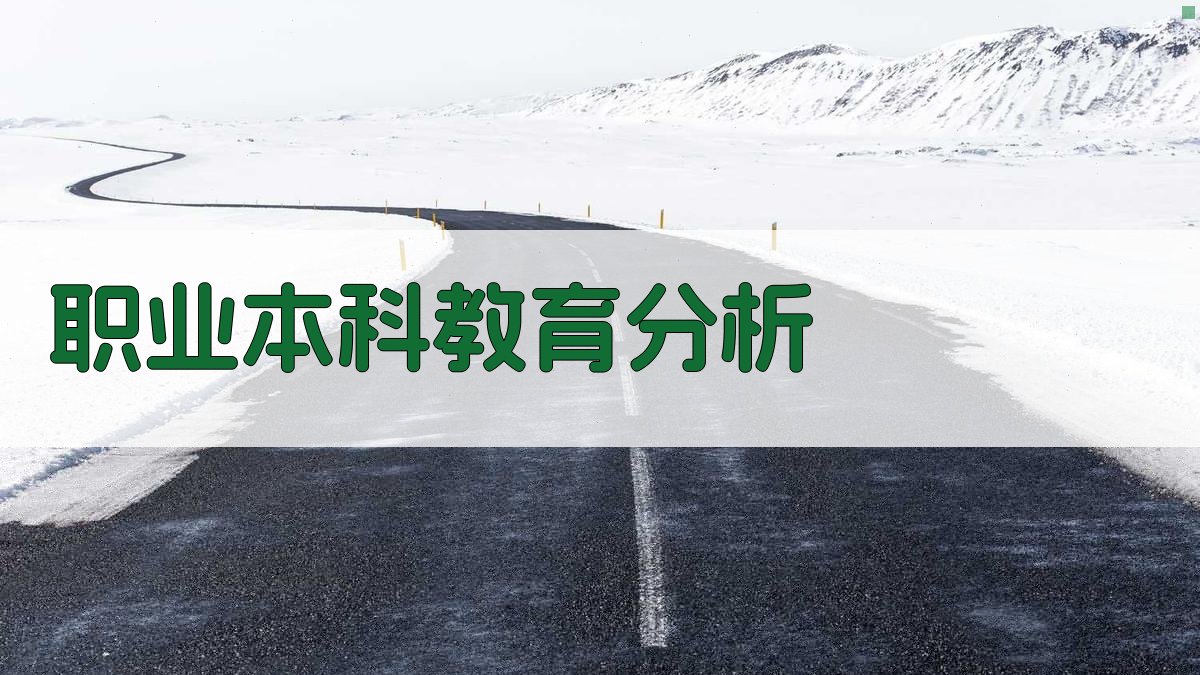 职业本科教育分析
