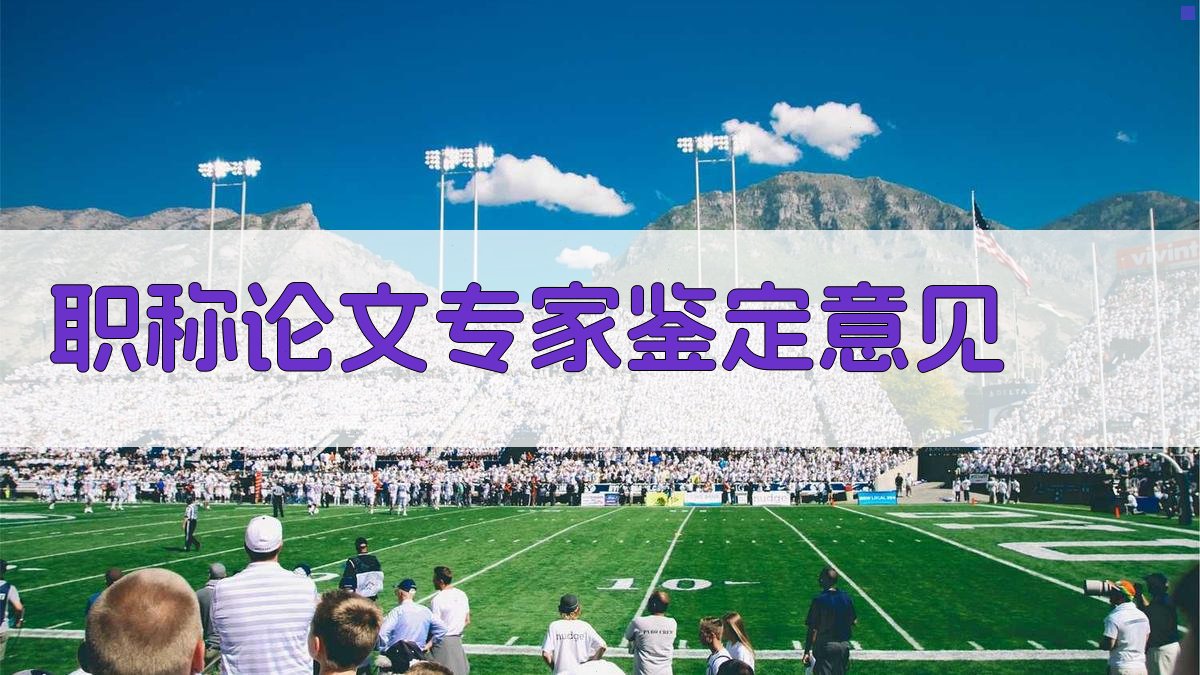 AI职称论文专家鉴定意见生成器