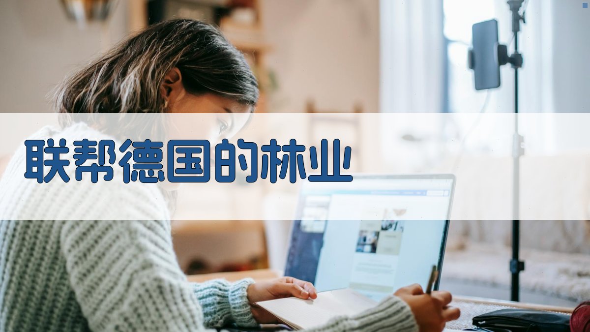 联帮德国的林业分析