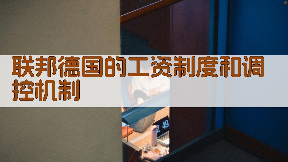 联邦德国工资制度分析