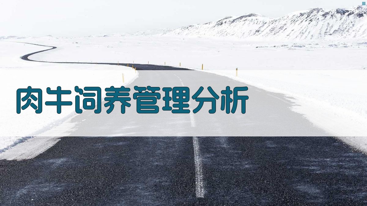 AI肉牛高效饲养管理分析