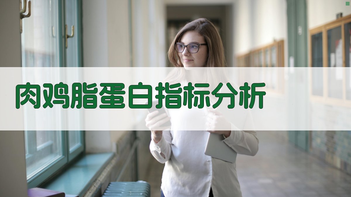 AI肉鸡脂蛋白指标分析