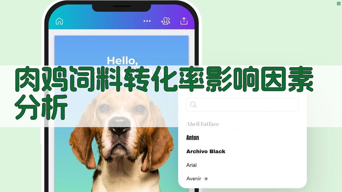 肉鸡饲料转化率影响因素分析