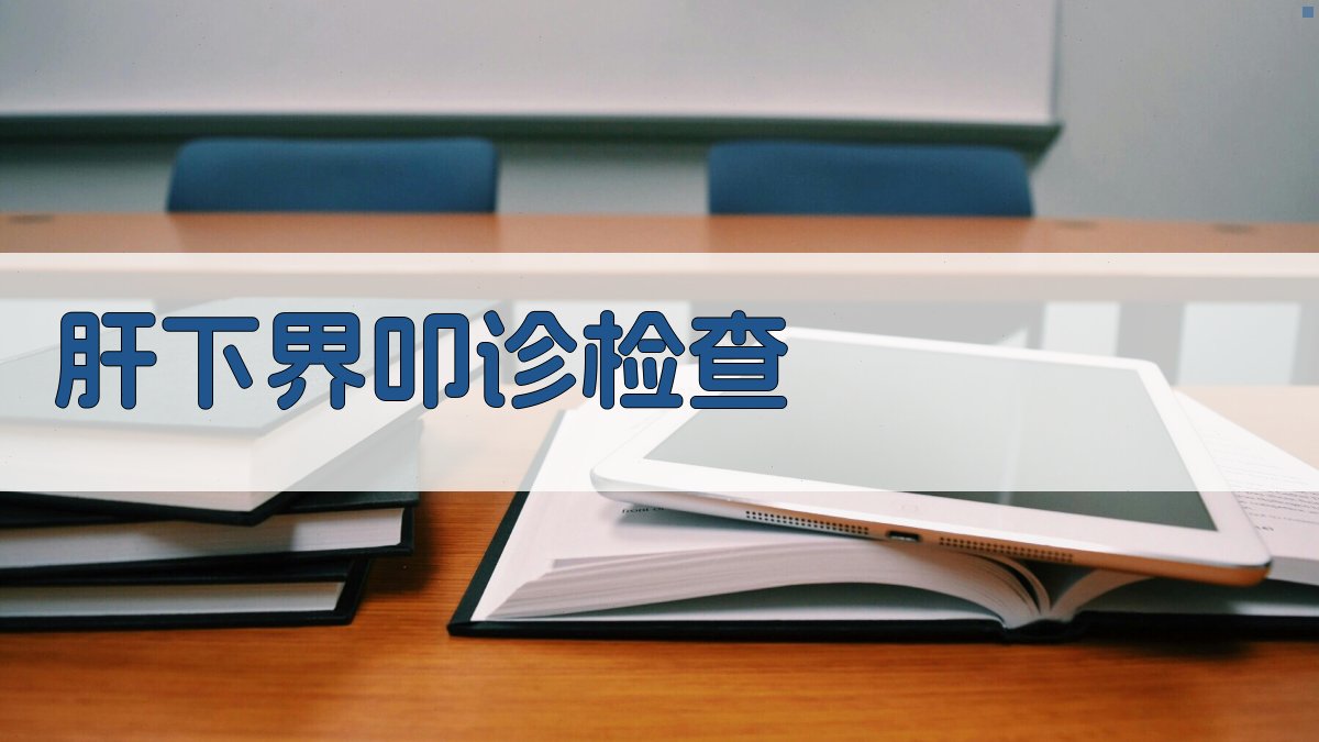 肝下界叩诊检查