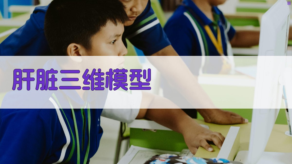 肝脏三维实体模型构建