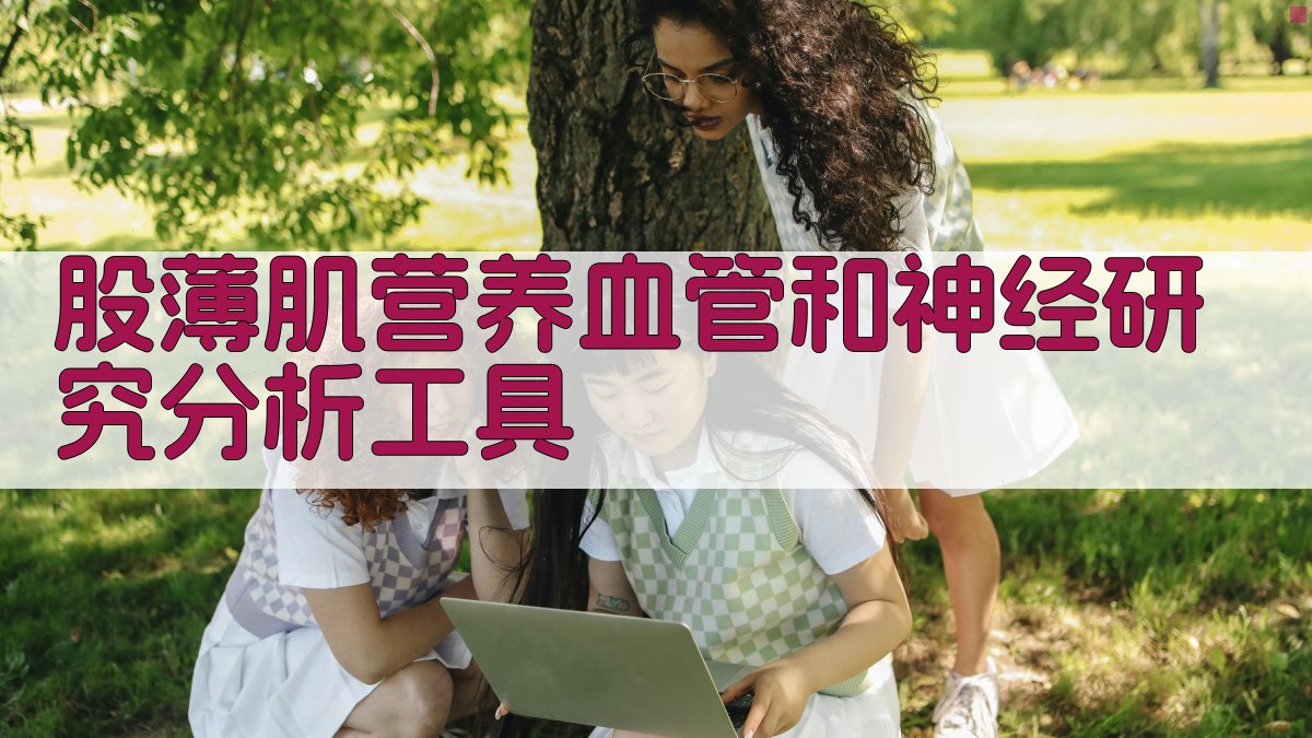 股薄肌营养血管和神经研究分析工具