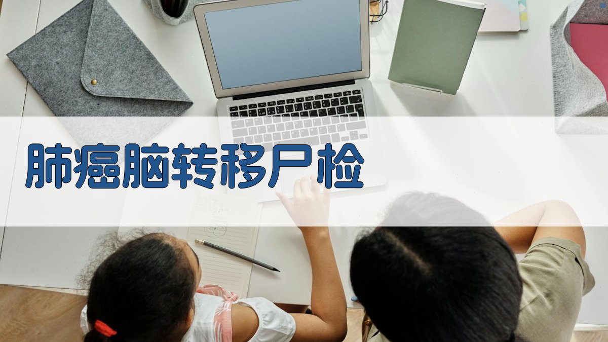 AI肺癌脑转移尸检报告生成