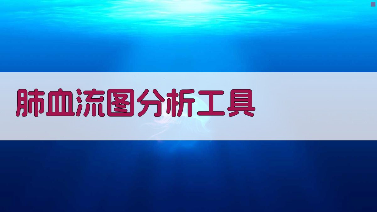 AI智能肺血流图与指血流图分析工具