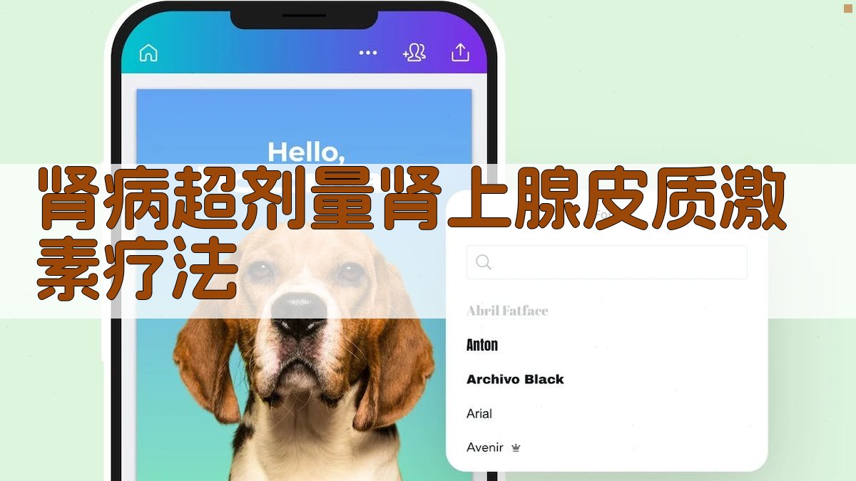 AI肾病超剂量肾上腺皮质激素疗法方案生成器