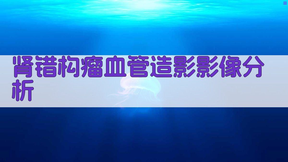 肾错构瘤血管造影影像分析