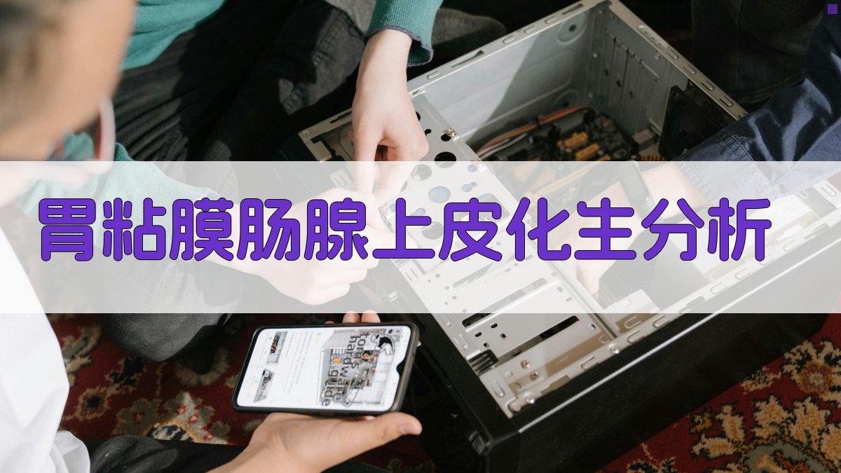 胃粘膜肠腺上皮化生分析