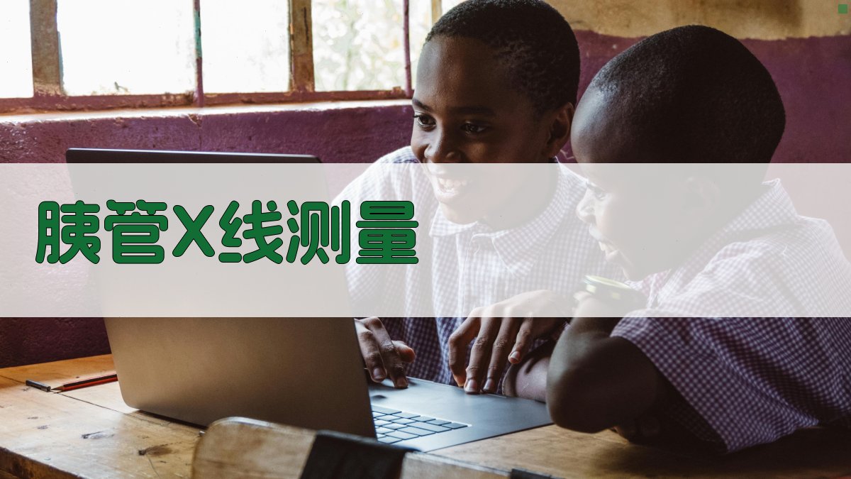 胰管X线测量分析工具