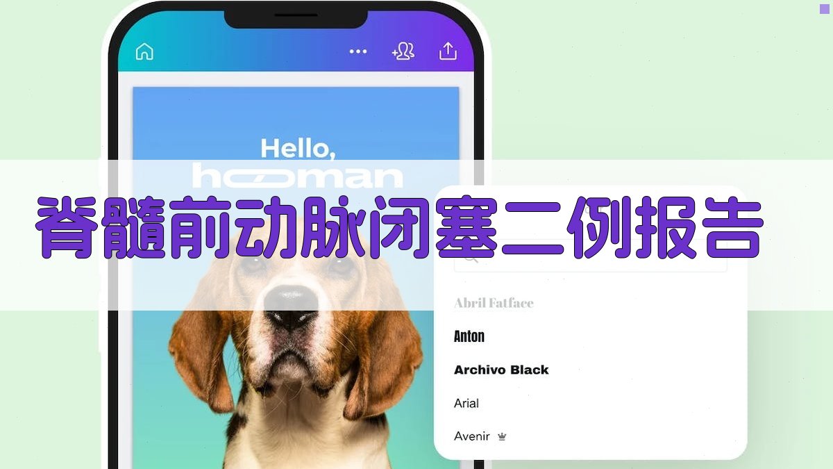 AI脊髓前动脉闭塞病例报告