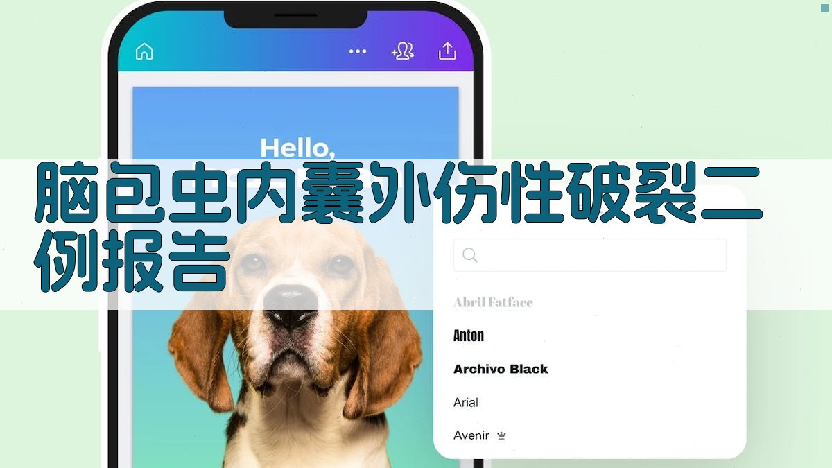 脑包虫内囊外伤性破裂病例分析