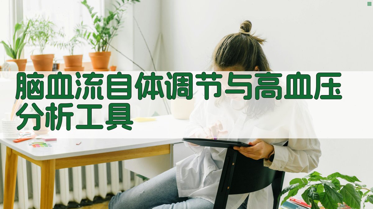 脑血流自体调节与高血压分析工具