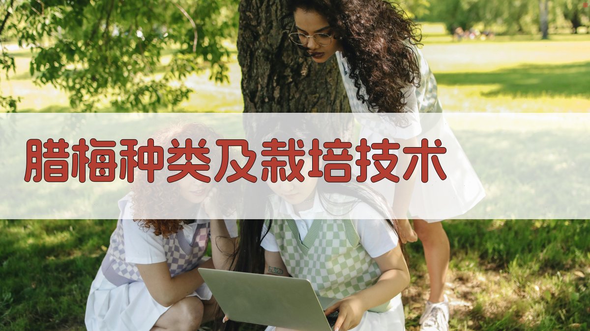 AI腊梅栽培技术助手