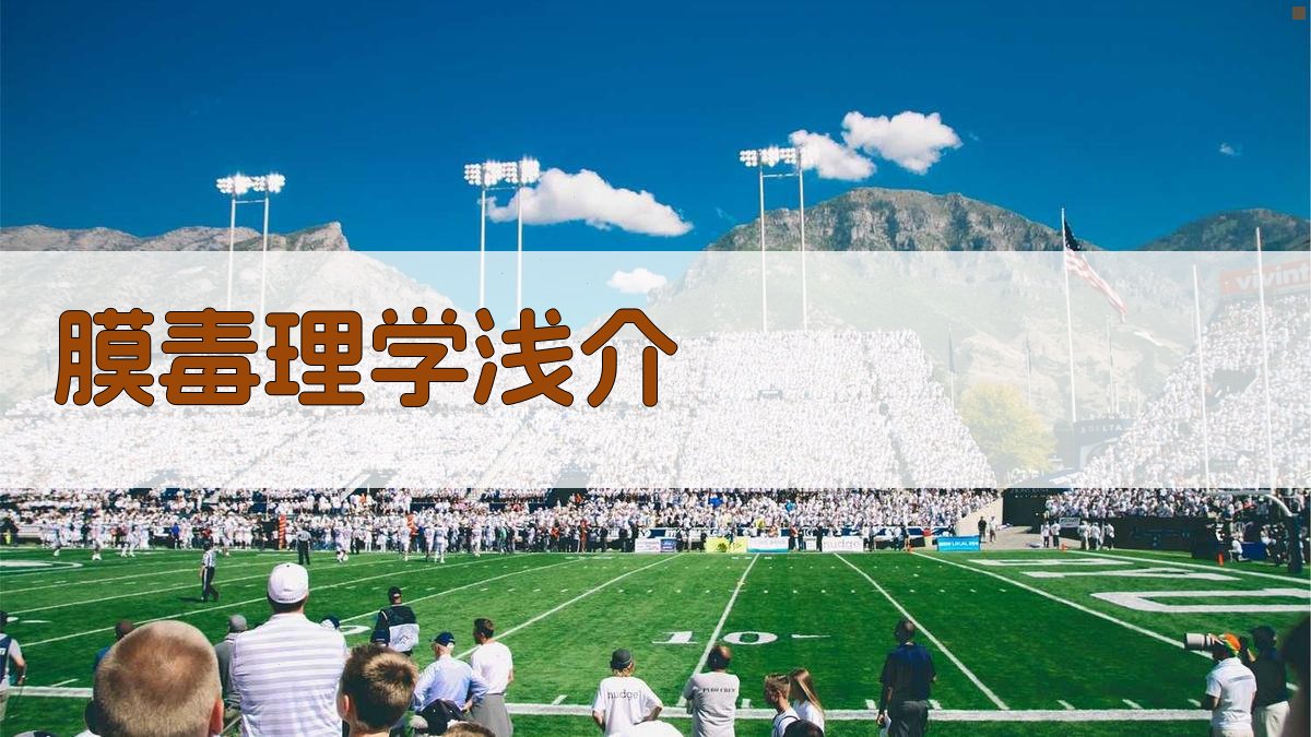 膜毒理学浅介生成工具