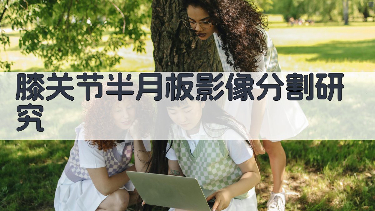 膝关节半月板影像分割研究