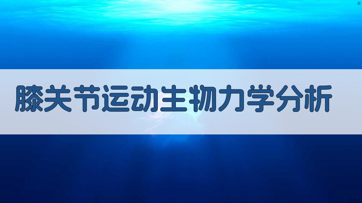 AI膝关节生物力学分析