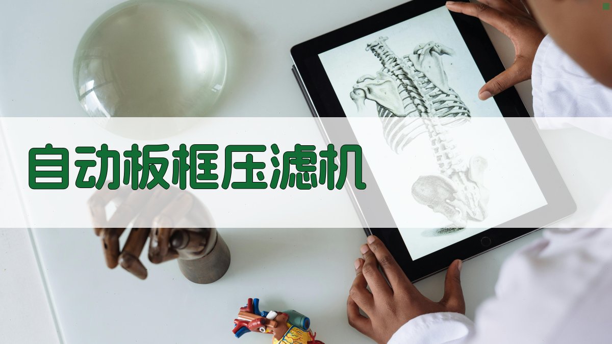 AI自动板框压滤机选型