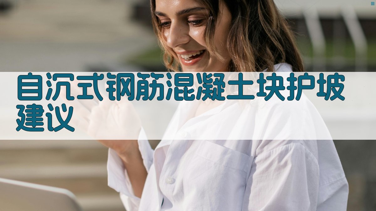 AI自沉式钢筋混凝土块护坡建议