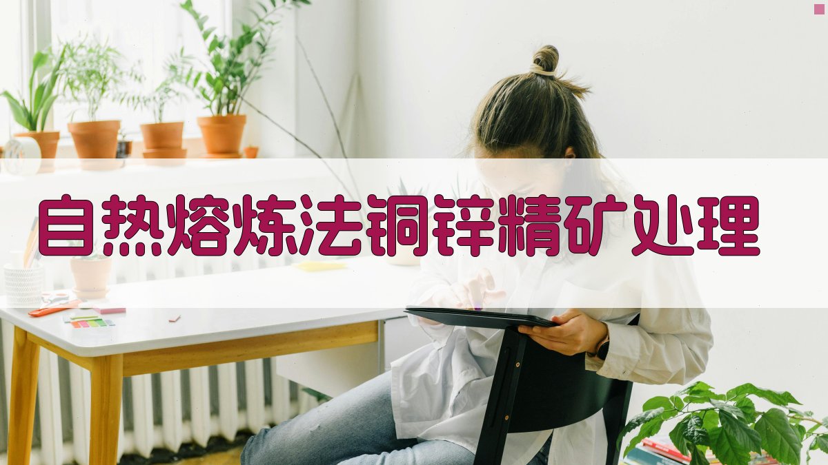 AI智能铜-锌精矿自热熔炼工艺设计