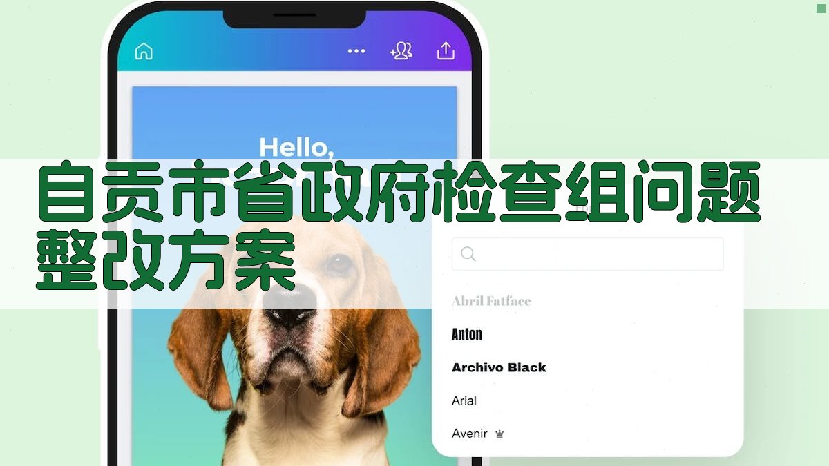 AI一键生成自贡市省政府检查组问题整改方案