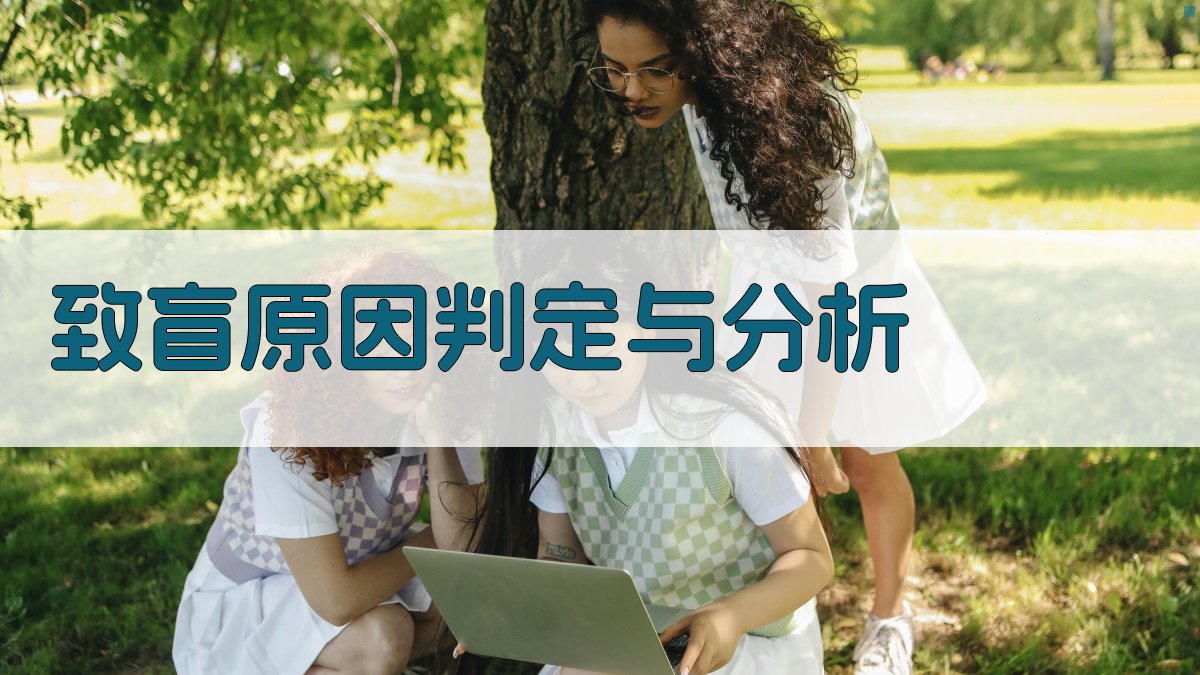 AI致盲原因判定与分析