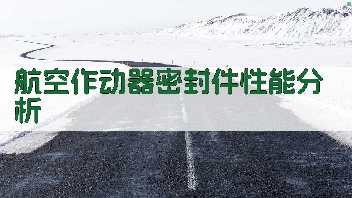 航空作动器密封件性能分析