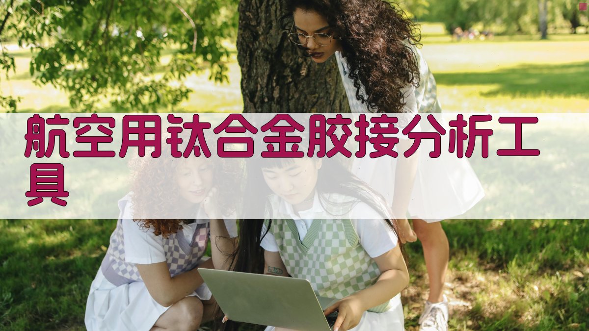 航空用钛合金胶接分析工具