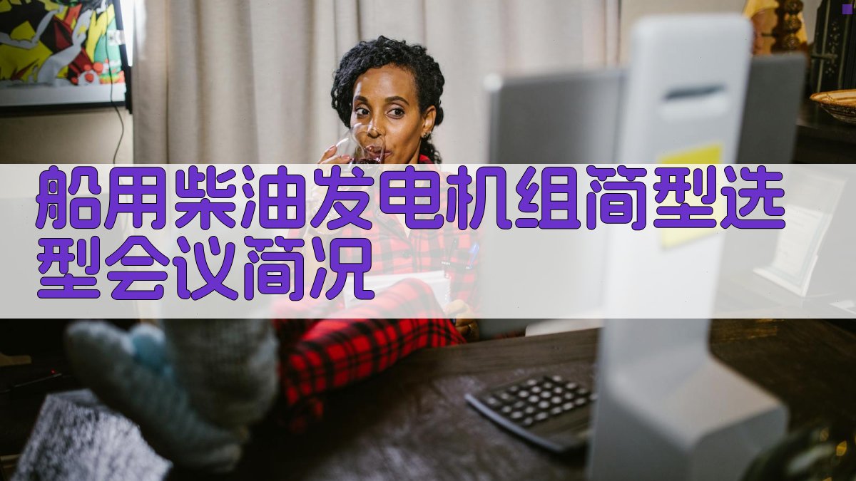 船用柴油发电机组简型选型会议简况