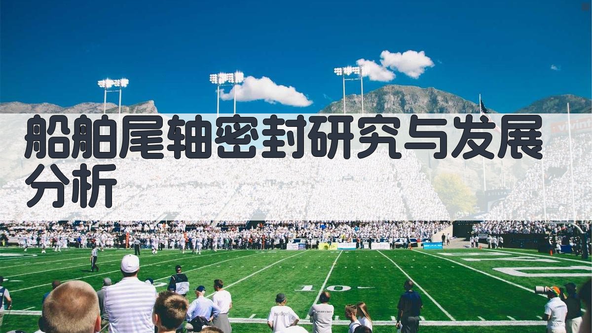 船舶尾轴密封研究与发展分析