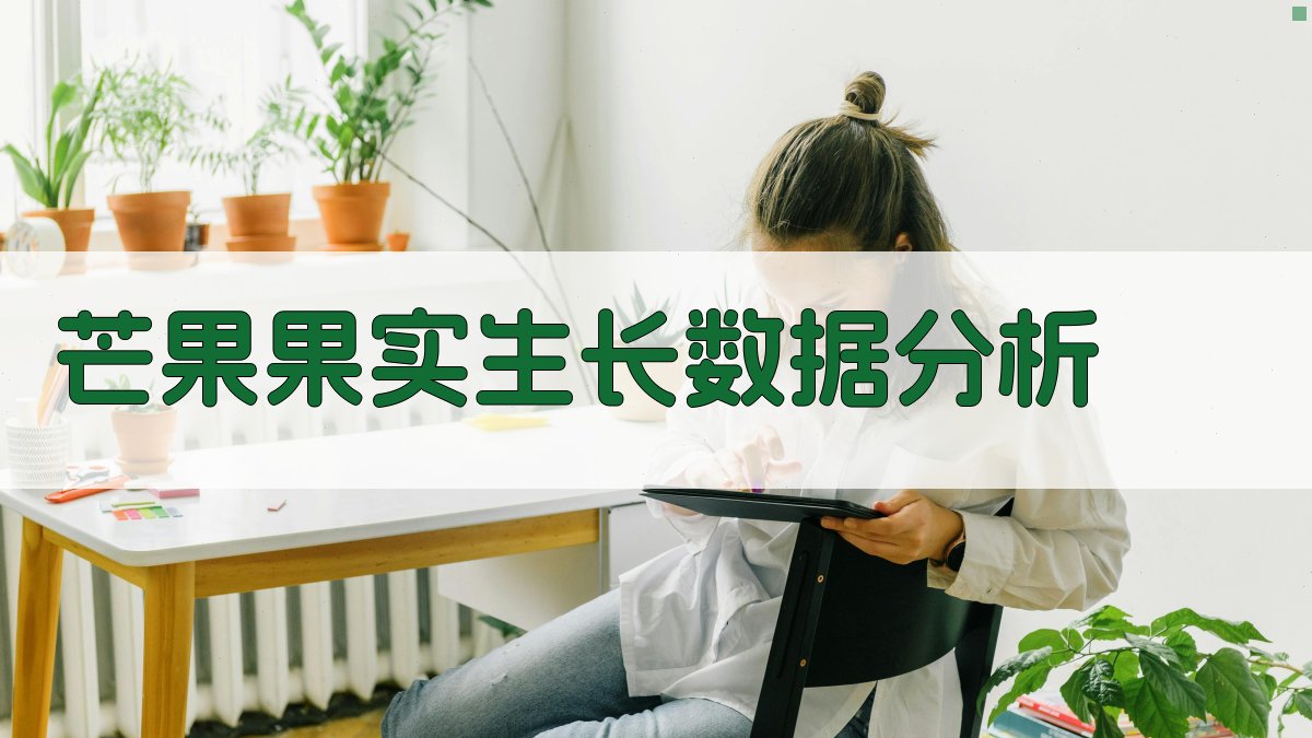 芒果果实生长数据分析