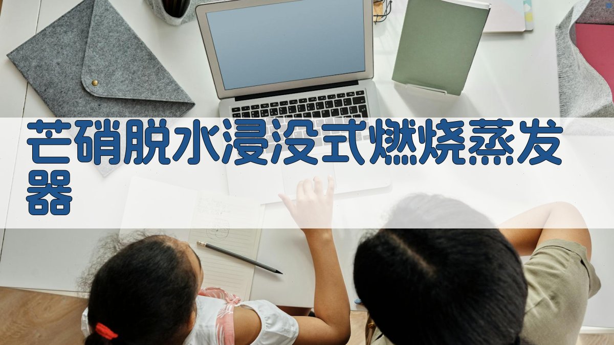 芒硝脱水浸没式燃烧蒸发器