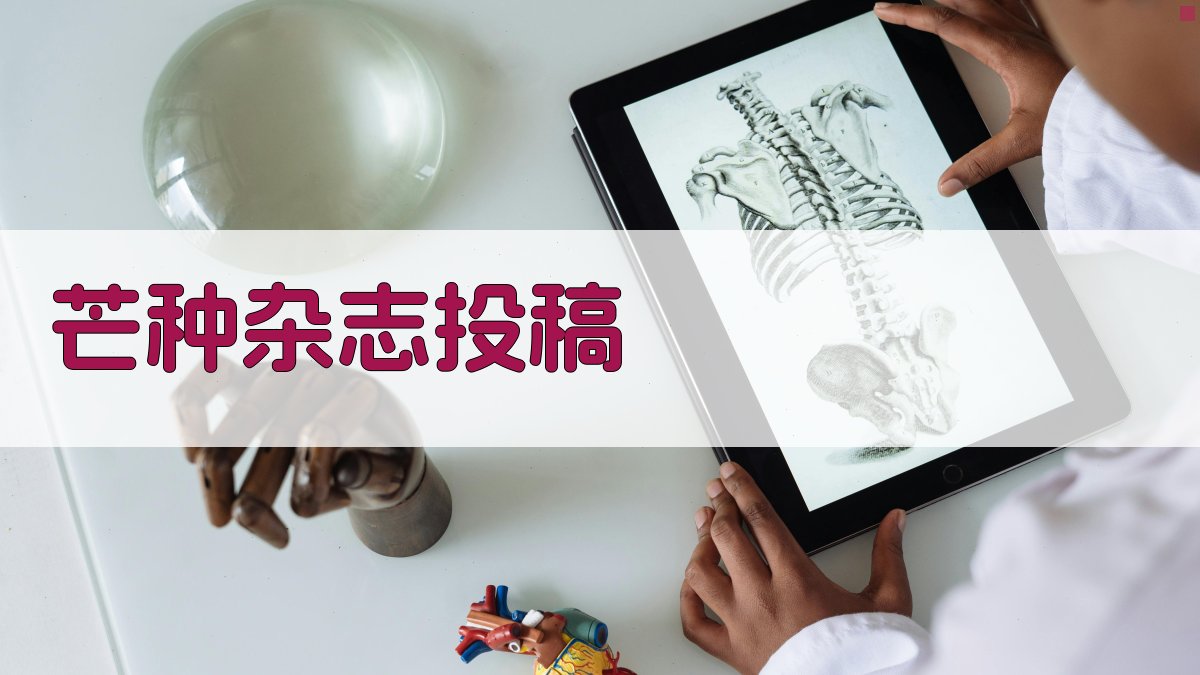 AI智能芒种杂志投稿助手