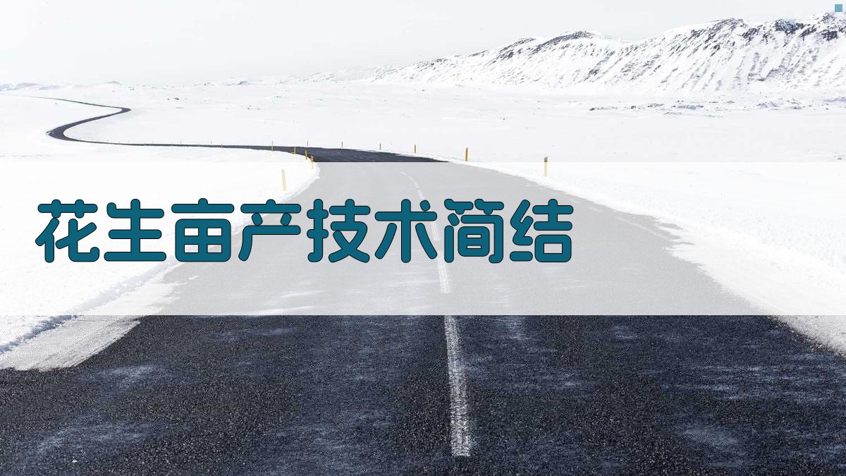 花生亩产1168.4斤技术简结