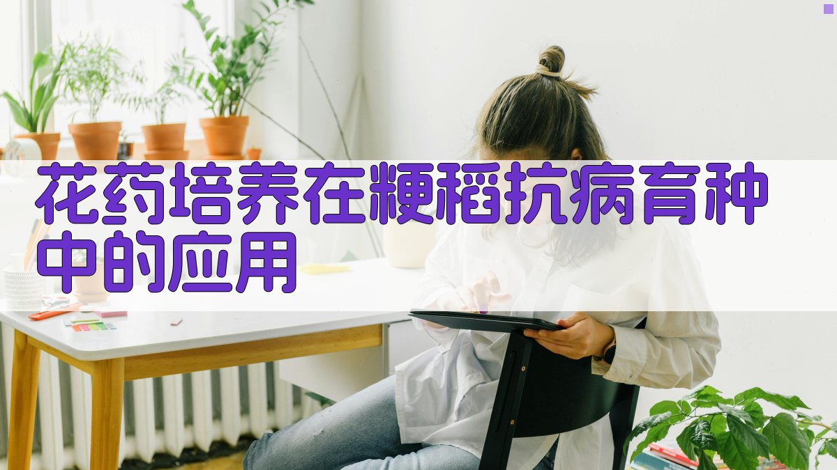 AI智能花药培养在粳稻抗病育种中的应用分析