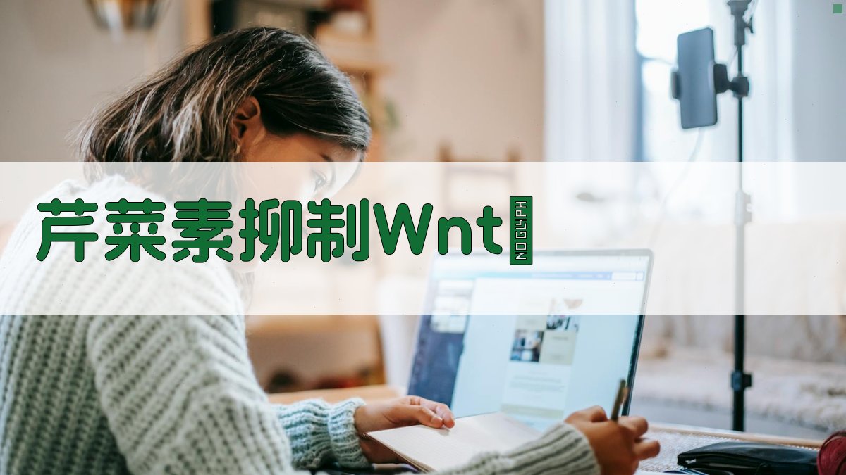 AI机制研究助手