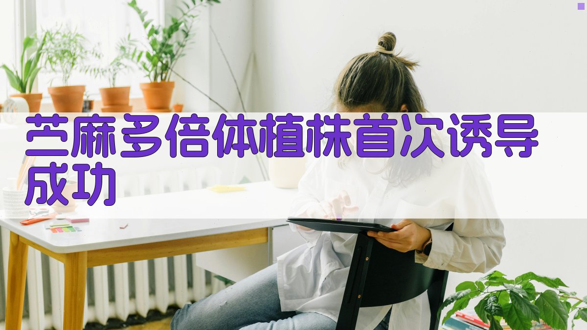 苎麻多倍体诱导