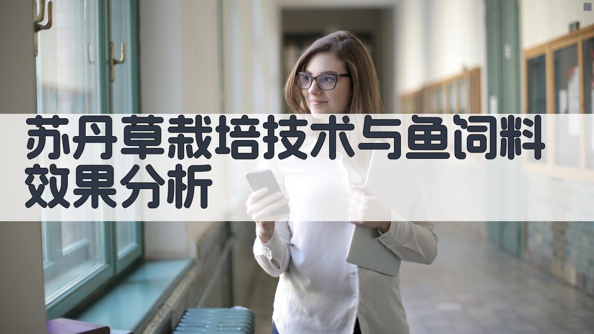 苏丹草栽培技术与鱼饲料效果分析