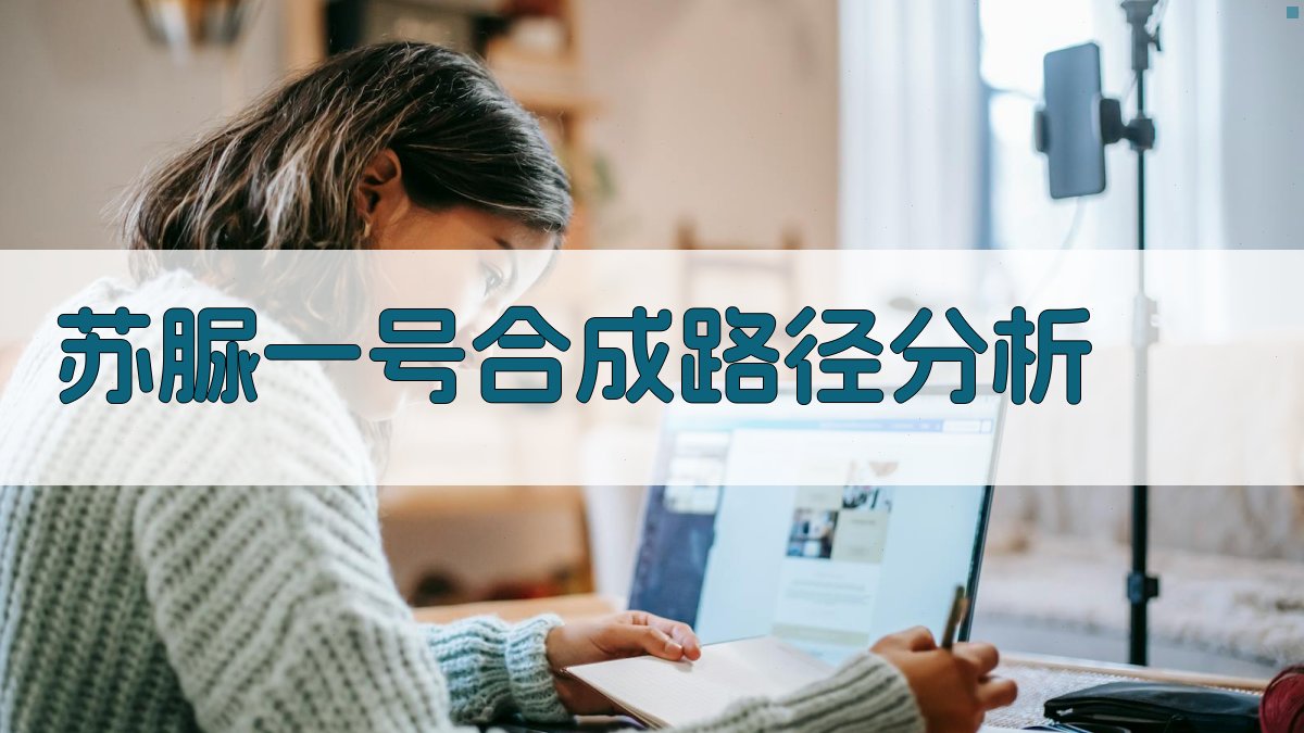 苏脲一号合成路径分析