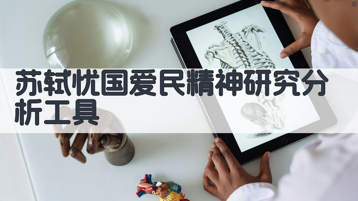 苏轼忧国爱民精神研究分析工具