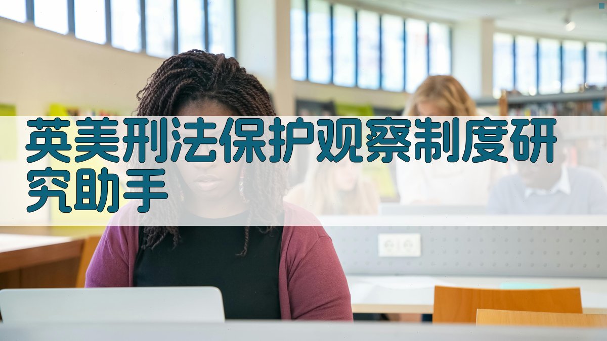 AI英美刑法保护观察制度研究助手