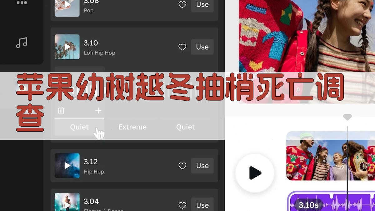 苹果幼树越冬抽梢死亡调查